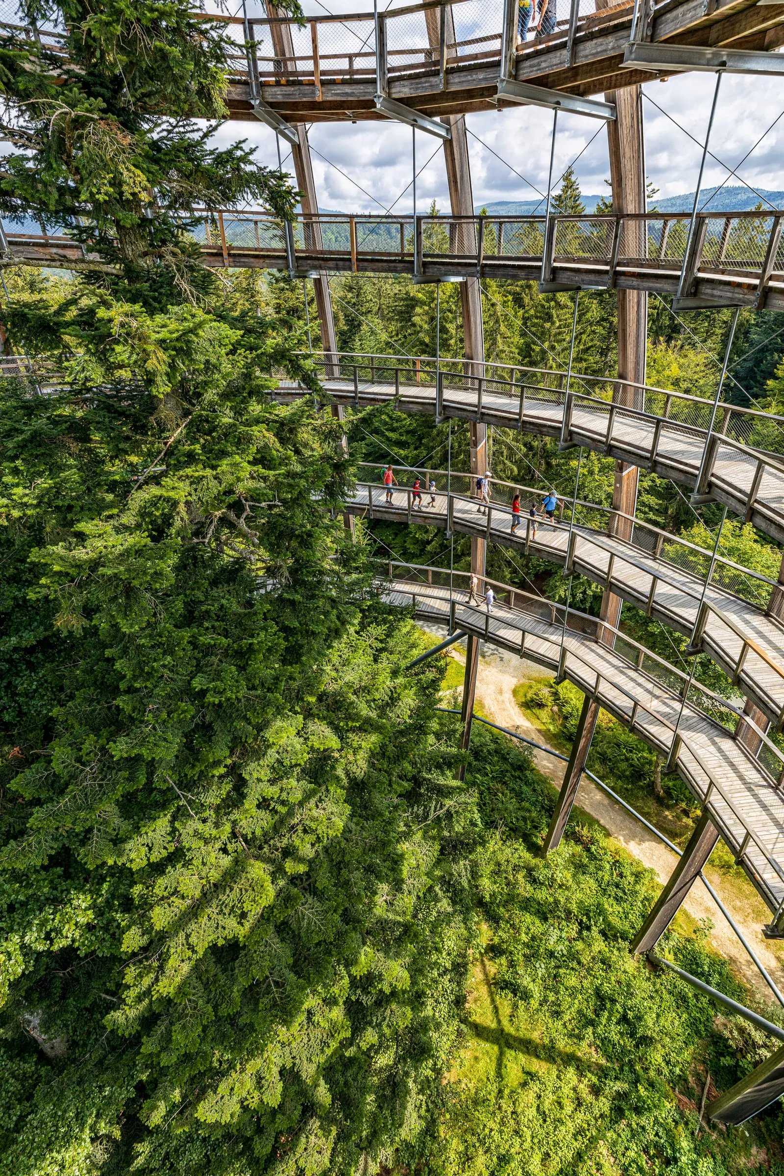 Blick von oben auf die hölzerne Spiralrampe eines Turms, auf der Besucher um einen hohen Nadelbaum gehen, dahinter bewaldete Hügel unter einem bewölkten Himmel.
