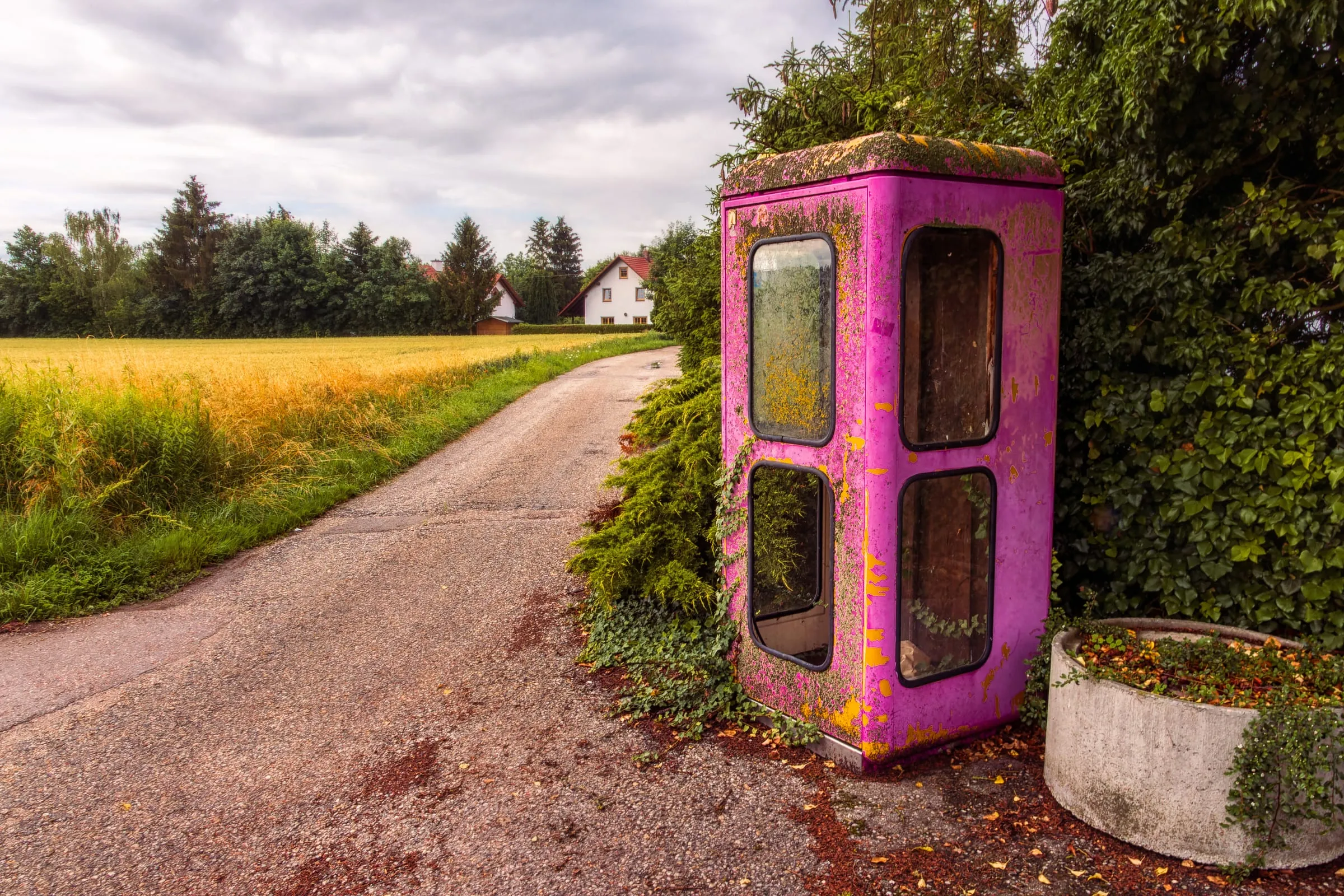 Alte, pink gestrichene Telefonzelle mit abblätternder Farbe und Moos an einem schmalen Weg gegenüber einem Getreidefeld, dahinter Häuser und Bäume unter bewölktem Himmel.